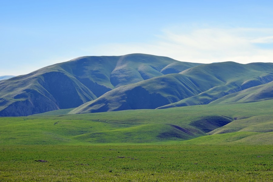 Green rolling hills and pasture under a blue sky