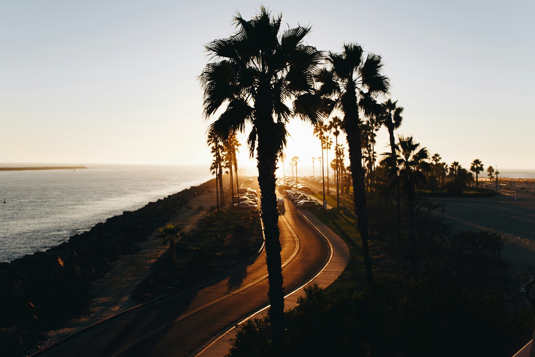 Palm trees lining a coastal road at sunset